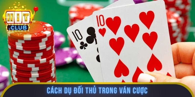 Cách dụ đối thủ trong ván cược