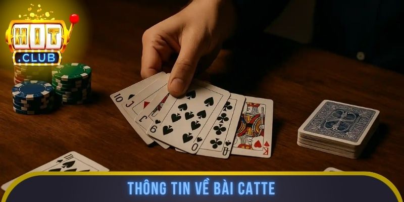Thông tin về bài catte