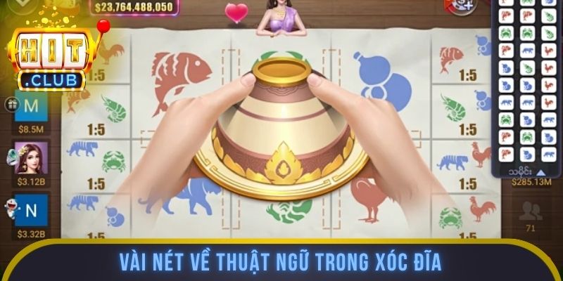 Vài nét về thuật ngữ trong xóc đĩa
